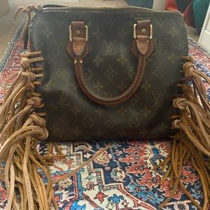Louis Vuitton Speedy Project Bag